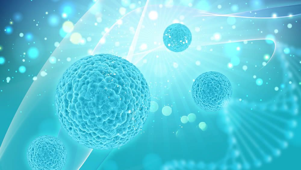 Aislan Celulas Madre De Cancer De Mama Con Impresion 3d