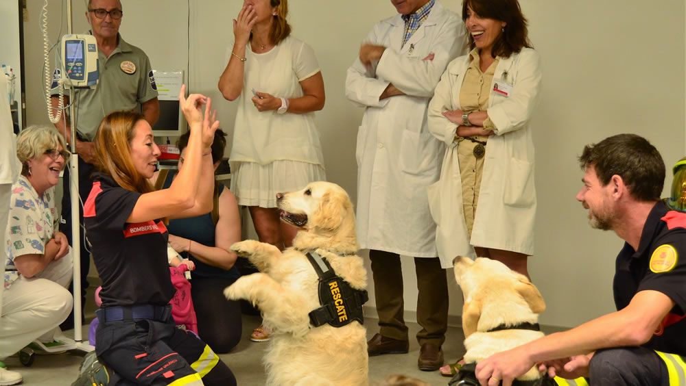Las visitas caninas en áreas de Pediatría fomentan el aprendizaje de los más pequeños