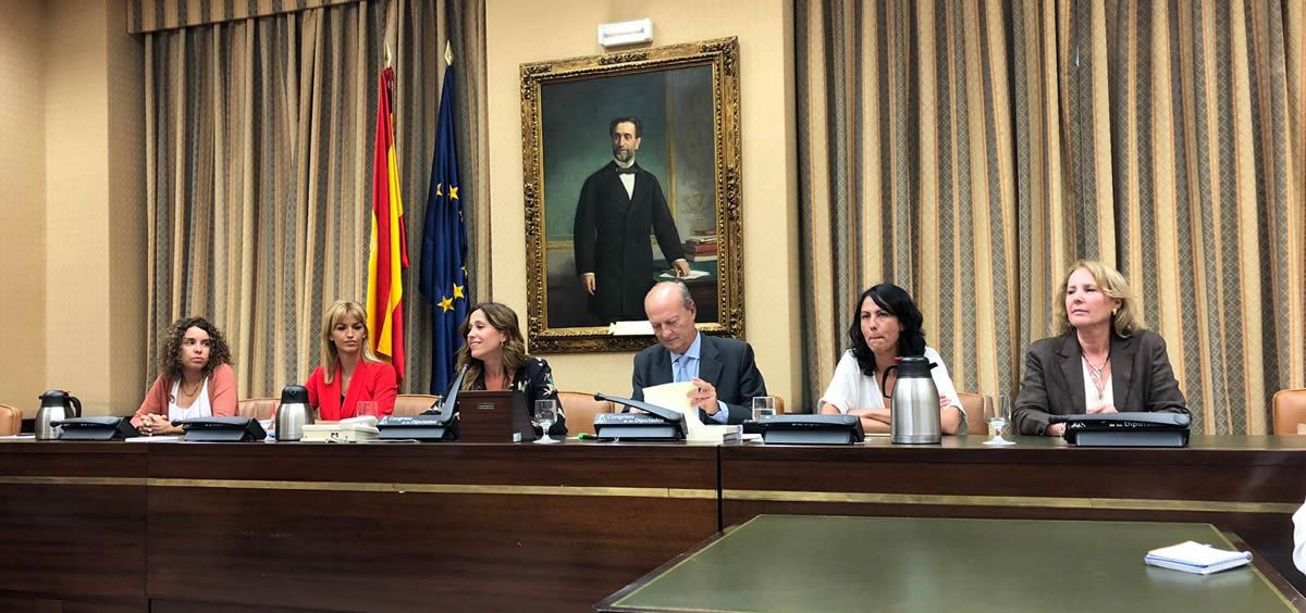 La Mesa de la Comisión de Sanidad, Consumo y Bienestar Social de la anterior legislatura. (Foto: @Marina_Ortega_)