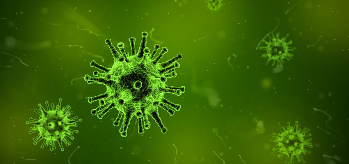 Identificadas dos proteínas que favorecen la replicación de virus (Foto. Pixabay)
