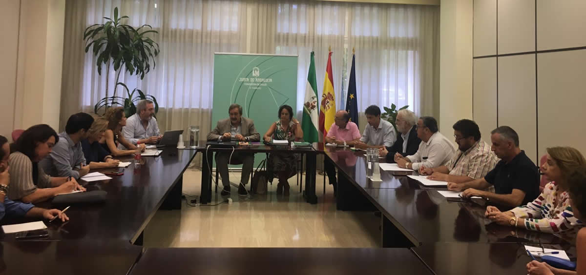 Grupo asesor de la Junta de Andalucía (Foto. Junta de Andalucía)