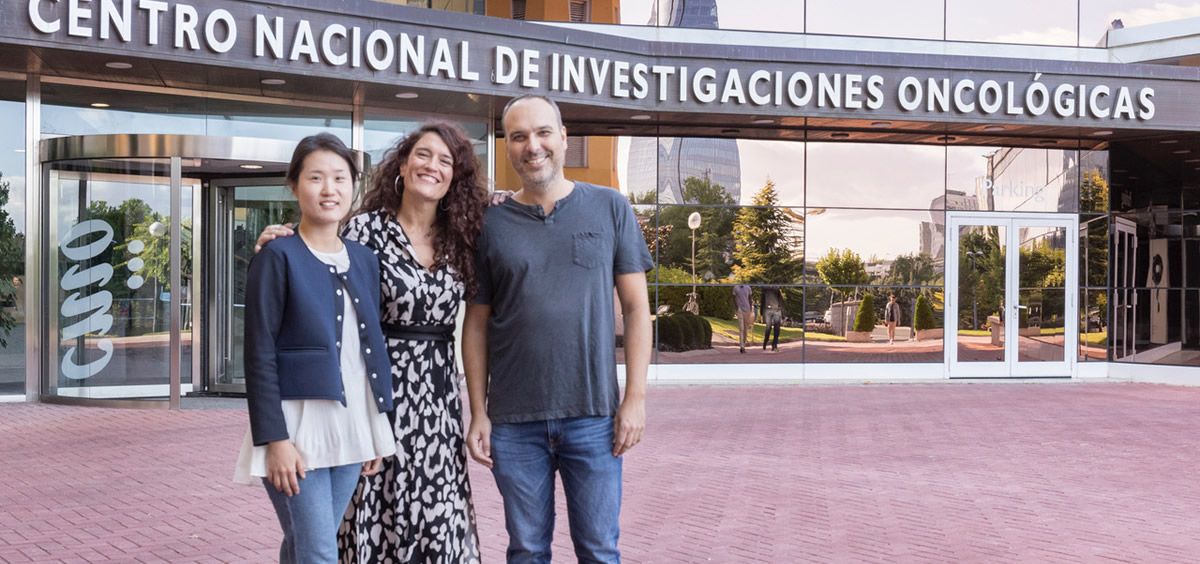 Investigadores del CNIO (Foto. CNIO)