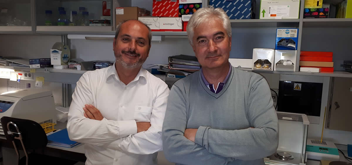 Alberto Ocaña y Atanasio Pandiella, investigadores del Ciberonc y coordinadores del estudio sobre los fármacos inhibidores (Foto. ConSalud)
