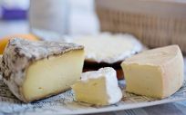 Sanidad retira 16 lotes de queso por listeria y E.coli (Foto. Pixabay)