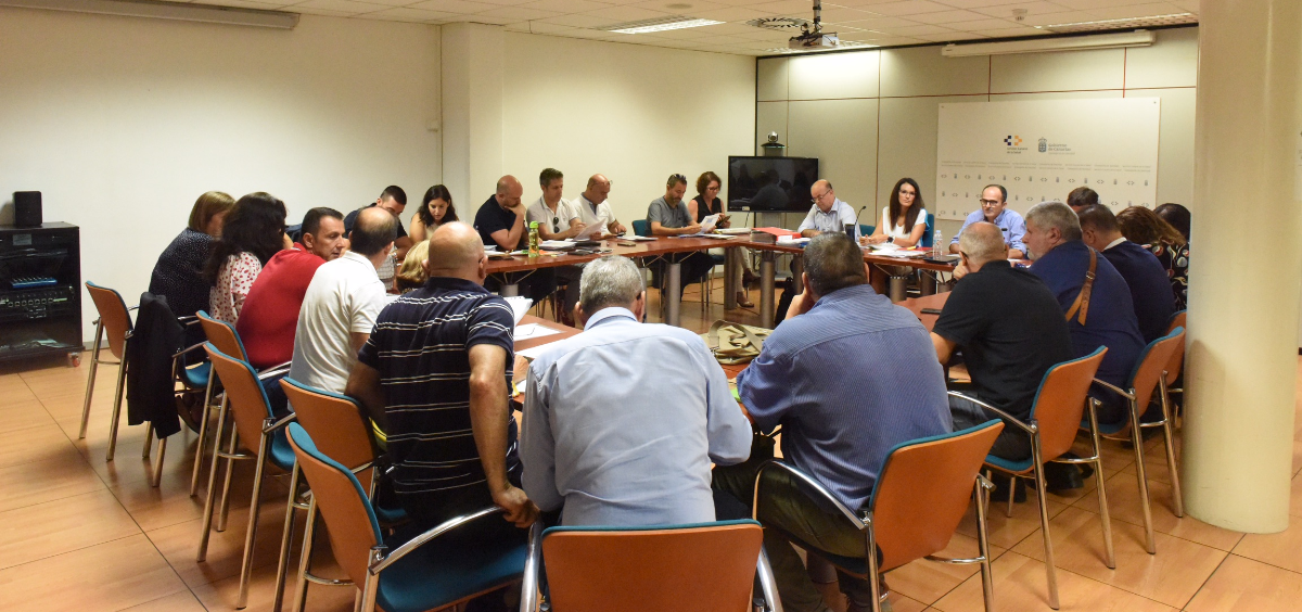 Mesa Sectorial de Sanidad en la que se han reunido los sindicatos con el director general de Recursos Humanos (Foto. Gobierno de Canarias)