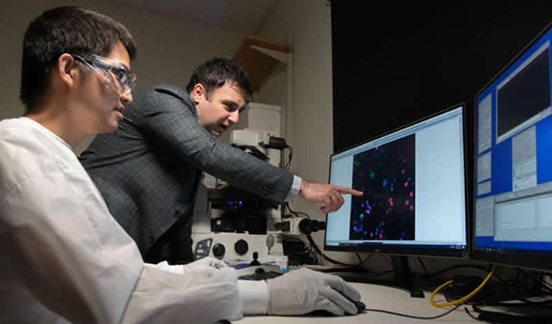 Científicos del Georgia Tech examinando células