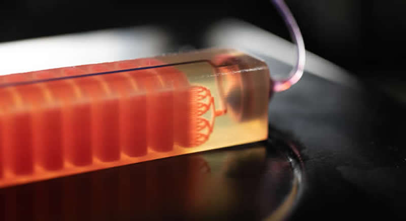 Dispositivo de biopsia líquida impreso en 3D