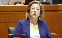 Pilar Ventura, consejera de Sanidad del Gobierno de Aragón. (Foto. Flickr Cortes de Aragón)