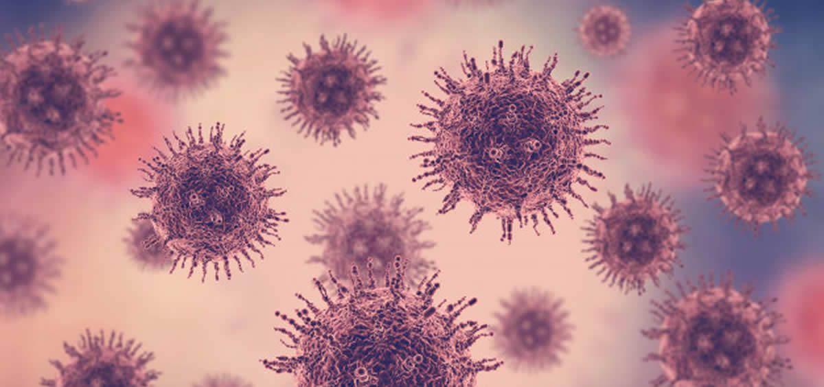 Papillomavirus q es - Que es virus de papiloma humano vph