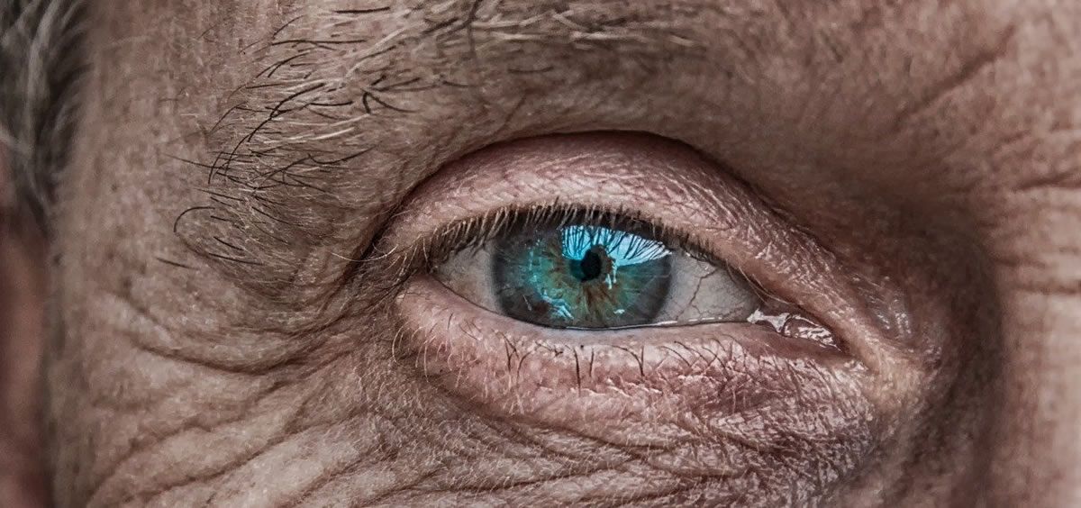 La DMAE es una enfermedad degenerativa y crónica del ojo, que constituye una de las principales causas de pérdida de capacidad visual grave en personas mayores de 50 años. (Foto. Pixabay)
