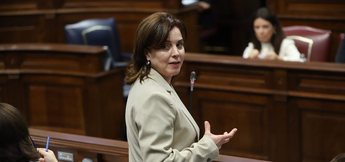 Teresa Cruz Oval, consejera de Sanidad del Gobierno de Canarias (Foto. Gobierno de Canarias)