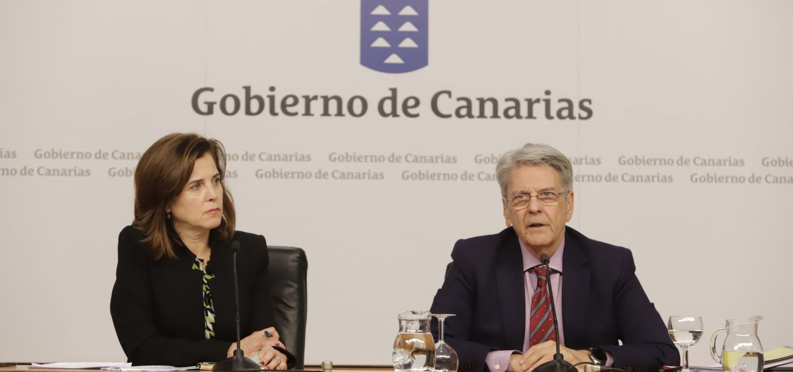 La consejera de Salud de Canarias, Teresa Cruz, y el portavoz del Ejecutivo canario, Julio Pérez (Foto. Gobierno de Canarias)