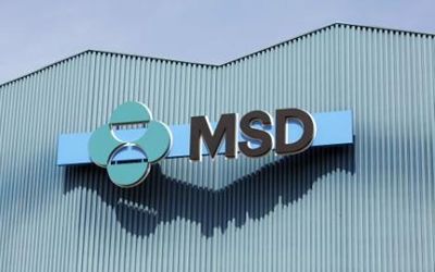 MSD recibe el distintivo “Igualdad en Empresa” del Ministerio de Igualdad