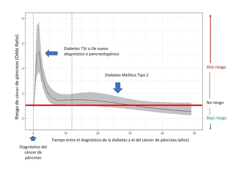 Gráfica sobre la asociación no lineal entre el rieso de cáncer de páncreas y el tiempo transcurrido entre el diagnósticode la diabetes y el del tumor (Foto. ConSalud) (2)