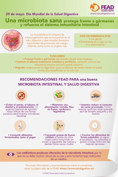 Infografía de la FEAD sobre la Microbiota Intestinal (Foto. ConSalud)