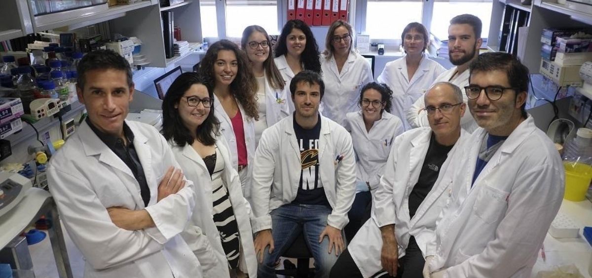 Grupo de investigación del CIBERONC coordinado por Xosé Bustelo en el Centro de Investigación del Cáncer (CIC-IBMCC, Universidad de Salamanca –CSIC) (Foto. Ciber)