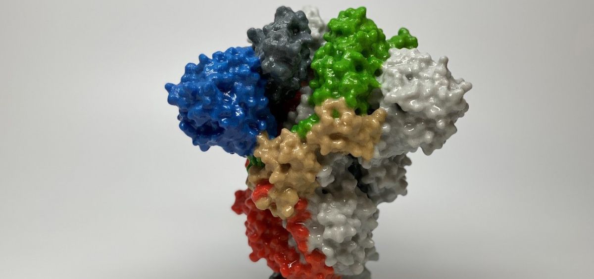 Recreación 3D de la proteína spike del virus SARS-CoV-2 (Foto. National Institute of Allergy and Infectious Diseases)