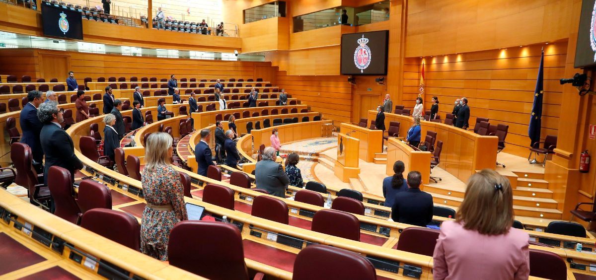 Pleno del Senado (Foto: Flickr PSOE)