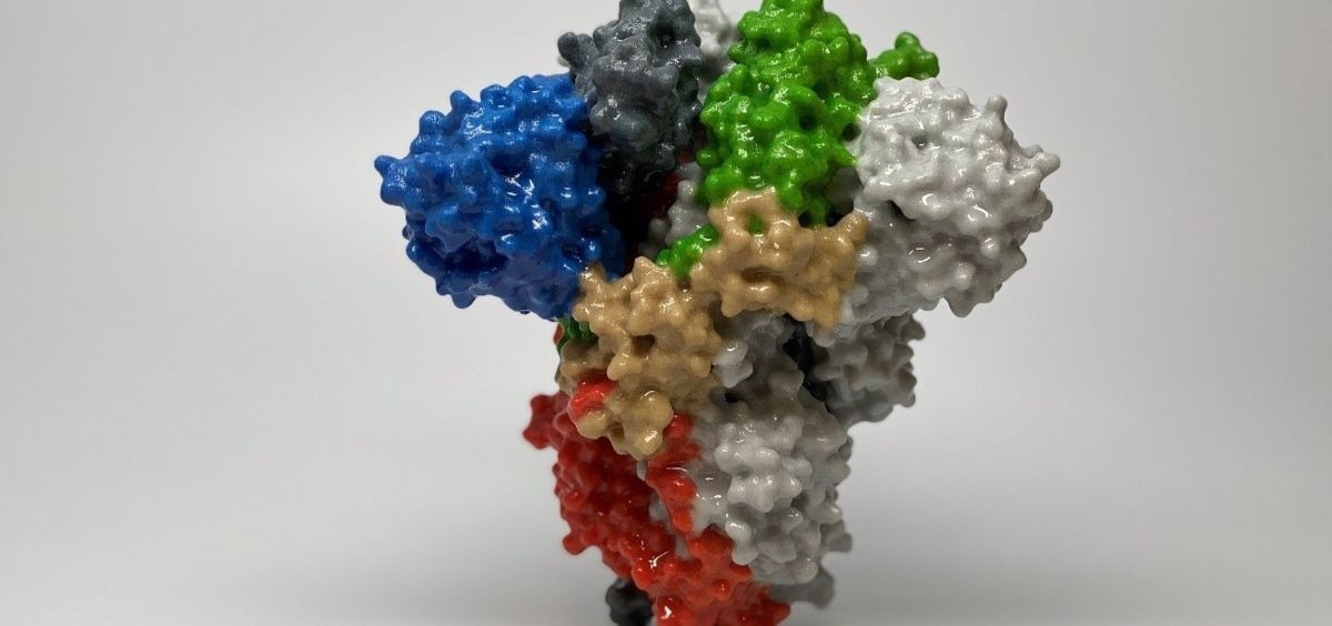 Recreación 3D de la proteína spike del virus SARS CoV 2. National Institute of Allergy and Infectious Diseases (NIAID) (Foto. NIAID   Archivo EP)
