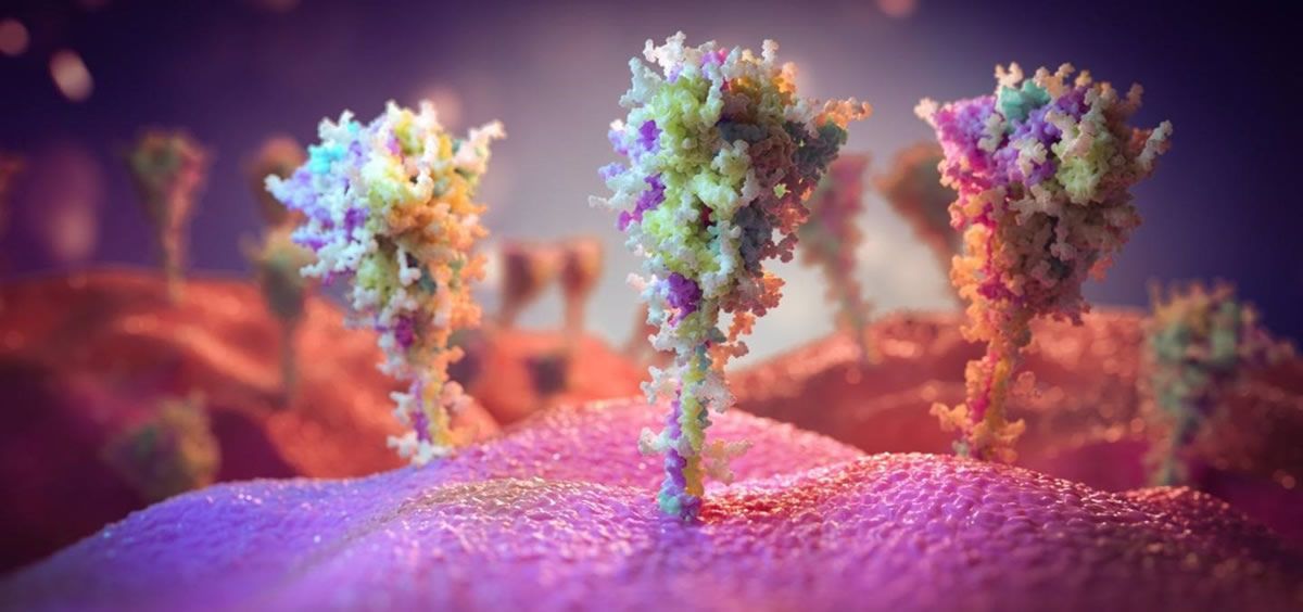 Imagen del pico de proteína en la superficie de las células expuestas a la vacuna contra la COVID 19. (UNIVERSITY OF SOUTHAMPTON. Europa Press)