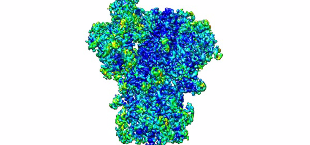 Reconstrucción en 3D de la proteína spike del SARS CoV 2 (Foto. JAVIER VARGAS)