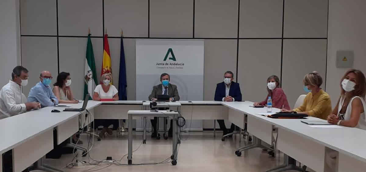 Grupo de trabajo del Plan Andaluz para el Abordaje de la Hepatitis. (Foto: Junta de Andalucía)