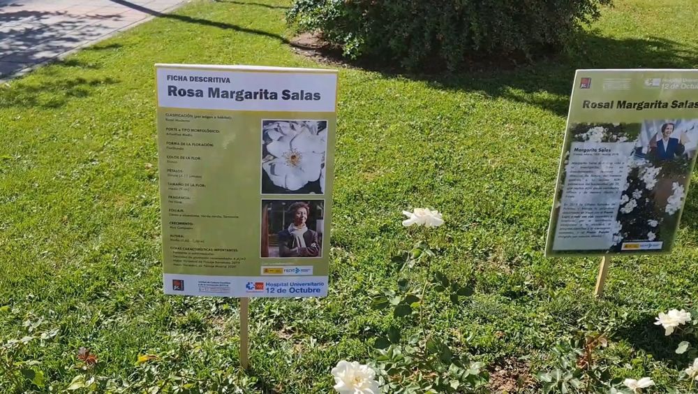 El Hospital 12 de Octubre homenajea a Margarita Salas
