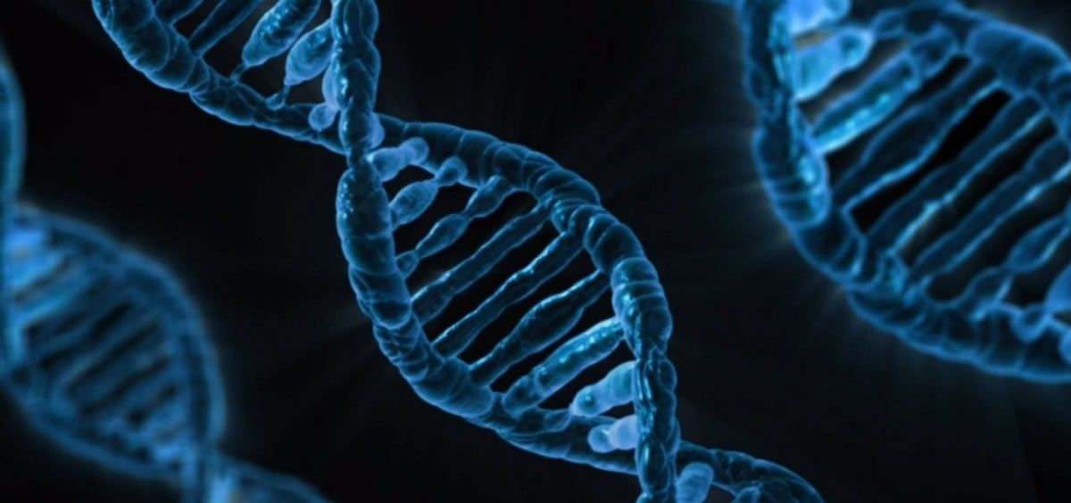 Genoma (Foto: CSIC)
