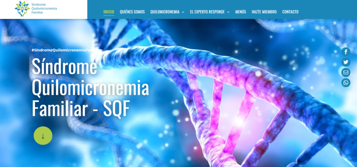 Página web de la Asociación de Quilomicronemia Familiar. (Foto. ConSalud.es)