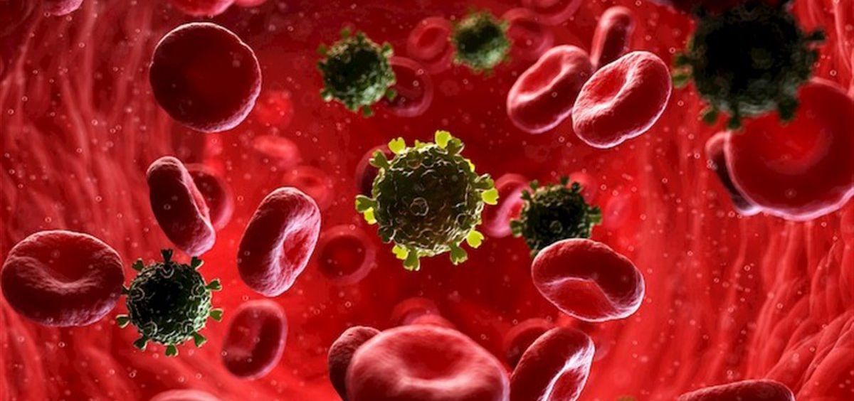 Virus del VIH en el torrente sanguíneo.