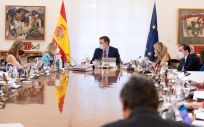 Reunión del Consejo de Ministros (Foto: Pool Moncloa / Borja Puig de la Bellacasa)