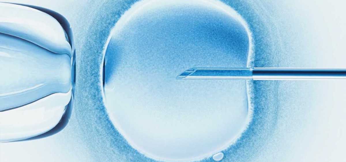 El 25 de julio se celebra el Día Mundial del Embriólogo (Foto. Air Liquide Healthcare España)