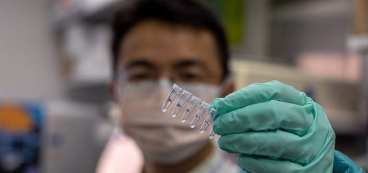 Muestras preparadas con el agente quelante que preserva el ARN del SARS-CoV-2 para su detección por PCR (Foto: Dustin Hays, National Eye Institute)