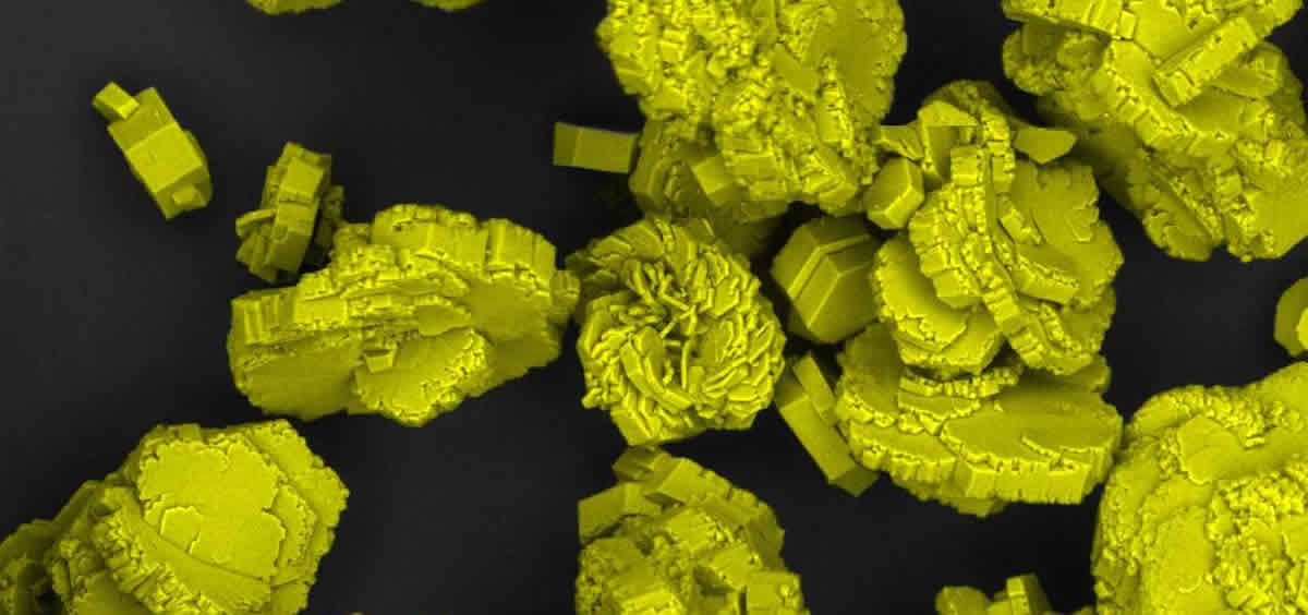 Agregados de cristales de cistina presentes en la vejiga de un ratón con cistinuria vistos a 500 aumentos en un microscopio electrónico de barrido (Foto: Clara Mayayo/Miguel López de Heredia)