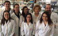 Investigadores del Cibercv y la Universidad Complutense de Madrid demuestran en modelos animales que el tratamiento con antioxidante mitocondrial (MitoQ) frena la fibrosis cardiaca en pacientes obesos (Foto: Cibercv)