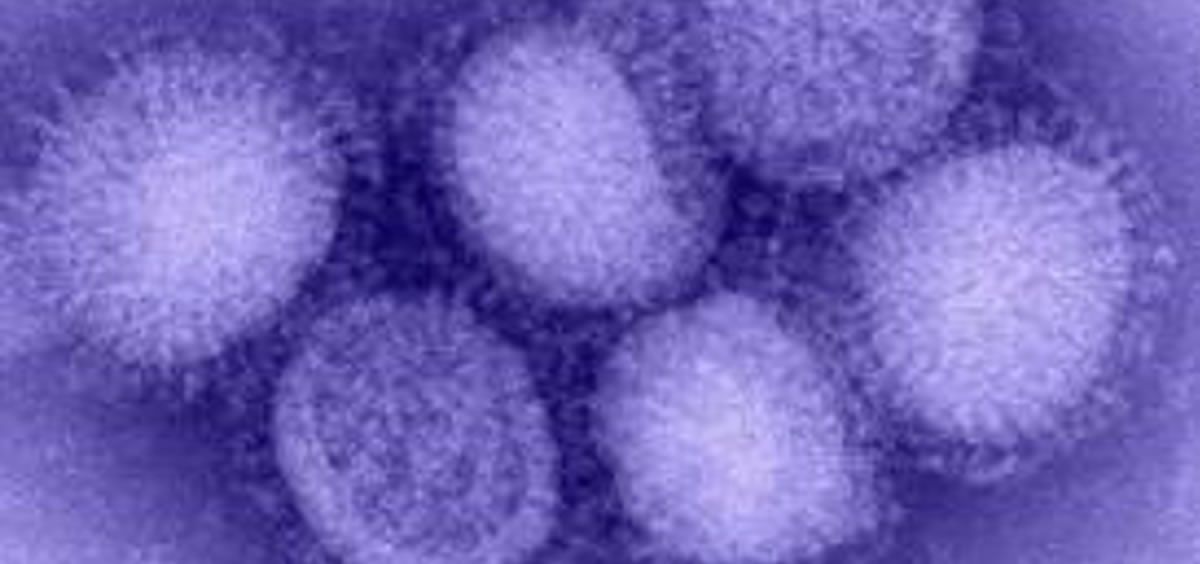 Virus de la gripe (Foto: CDC, 2020)