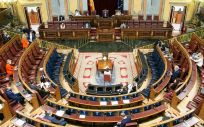 Pleno del Congreso de los Diputados (Foto: Congreso)