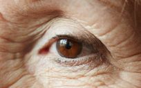 Degeneración macular asociada a la edad, DMAE. (Foto. Freepik)