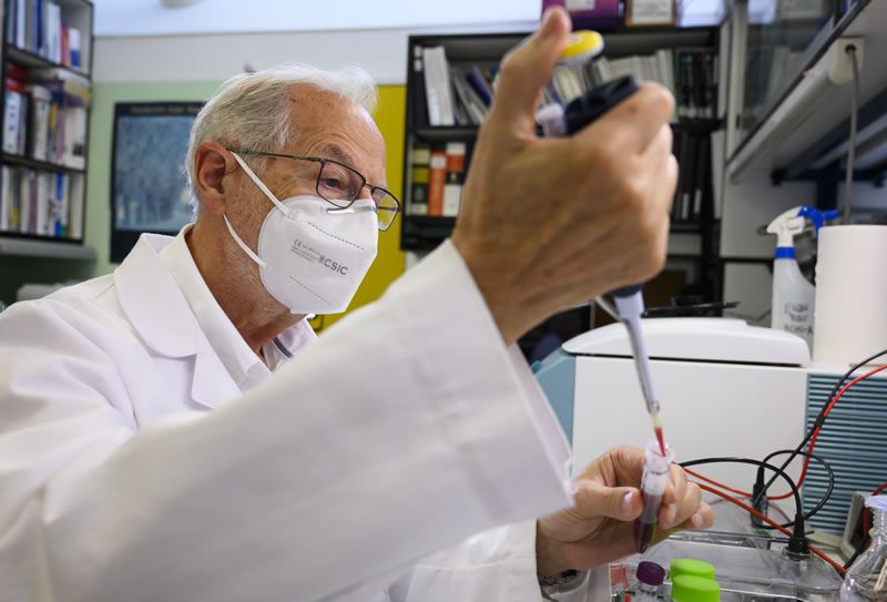 El Dr. Luis Enjuanes trabajando en el laboratorio. (Foto. CSIC)