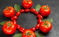 Tomates (Foto. Freepik)