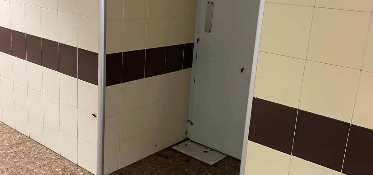 CSIF advierte de brotes de cucarachas en la planta baja del Hospital Clínico de Valencia (Foto: CSIF)