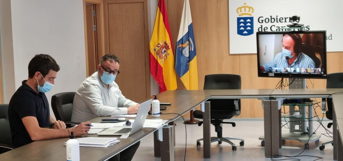 Mesa sectorial de Sanidad del Servicio Canario de Salud. (Foto. Gobierno de Canarias)