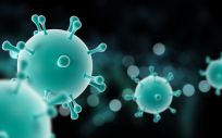Células de coronavirus en 3D (Foto. Freepik)