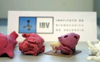 Modelos médicos impresos en 3D conocidos como biomodelos (Foto. IBV)