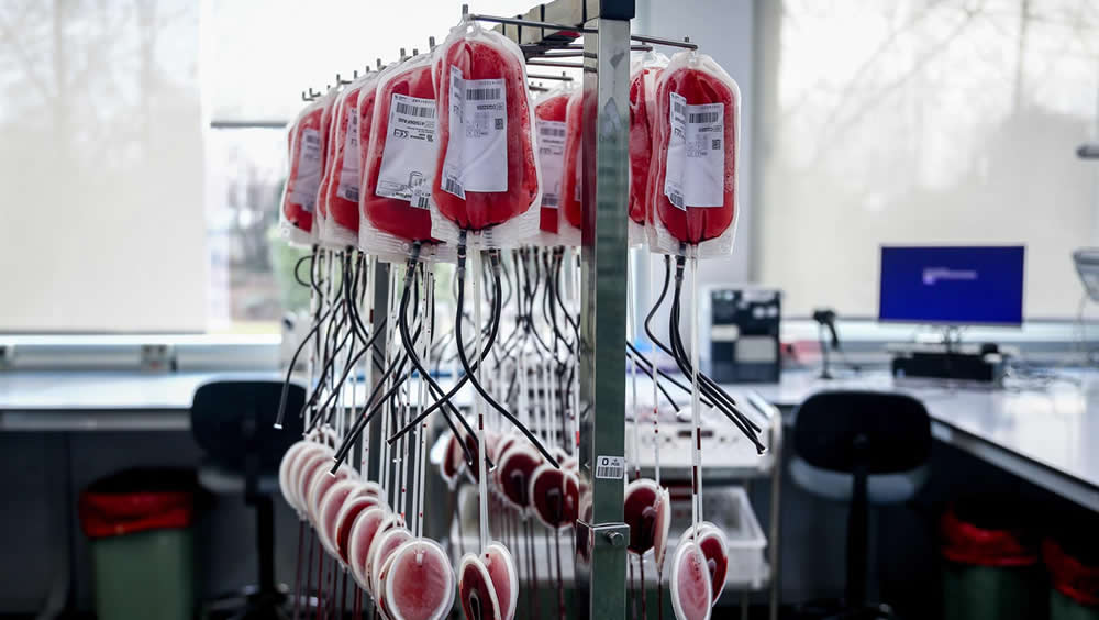 Bolsas de sangre en el laboratorio del Centro de Transfusión, a 8 de enero de 2022, en Madrid (Foto: Ricardo Rubio - Europa Press)