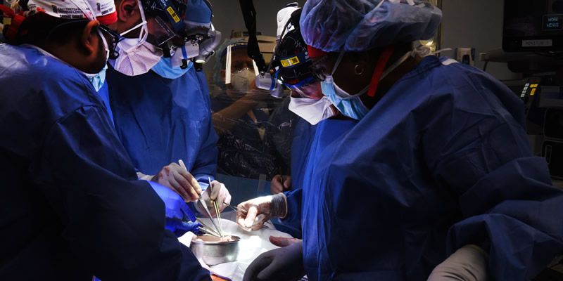 Los cirujanos realizan el primer trasplante de corazón de cerdo a humano (Foto. Universidad de Maryland)