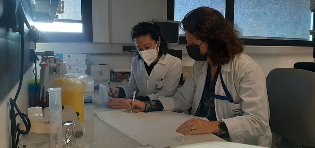 Las investigadoras María Victoria García Ortiz y María José de la Torre Aguilar en el laboratorio (Foto. UCO)