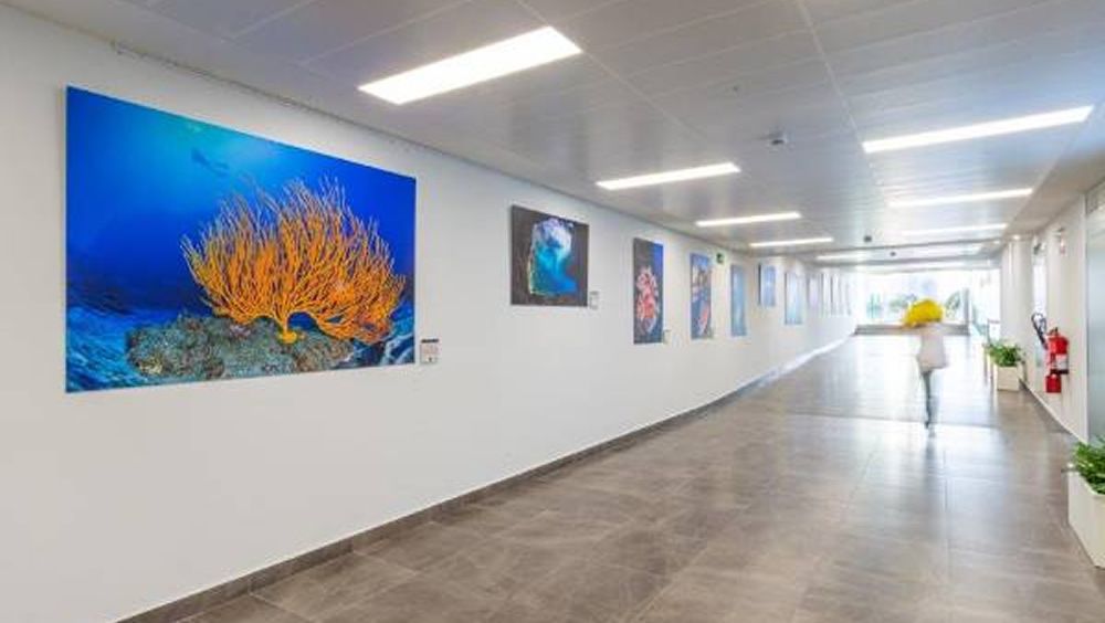El mar se cuela en Quirónsalud Tenerife en una exposición