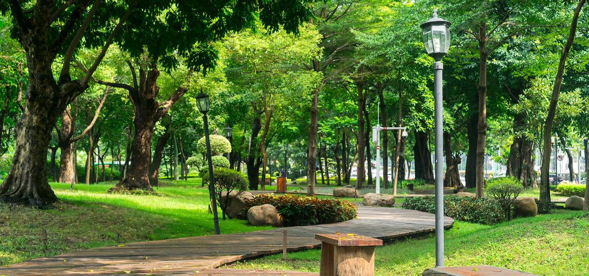 Parque con vegetación (Foto. Freepik)