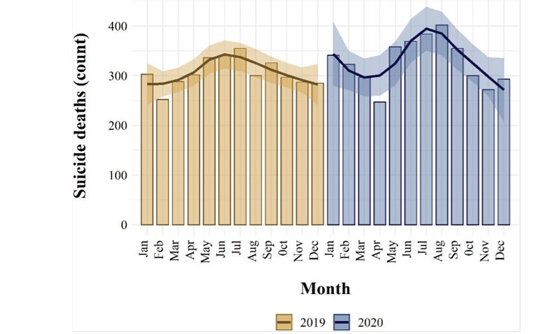 Tabla de número de suicidios por meses en 2019 y 2020 (Grafico. cedido por los investigadores)